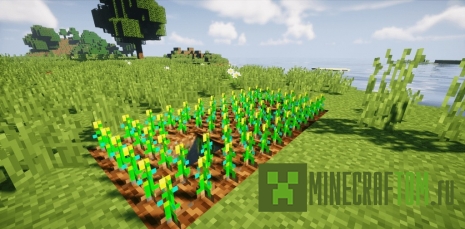 Мод Living Exp (Живой опыт) Мод Living Exp (Живой опыт)