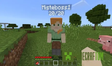 Мод BetterNametags (Лучшие теги имени) Мод BetterNametags (Лучшие теги имени)