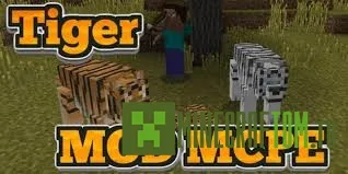 Мод Tiger (Тигр) Мод Tiger (Тигр)