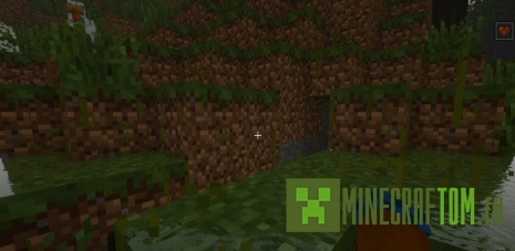 Мод ToxicRain (Токсичный дождь)