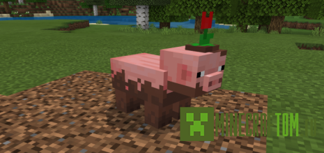 Текстуры Muddy Pig (Мутная свинья)