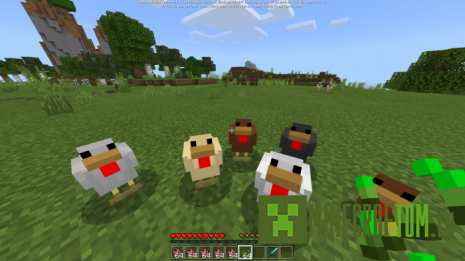 Мод More Chickens (Больше цыплят) Мод More Chickens (Больше цыплят)