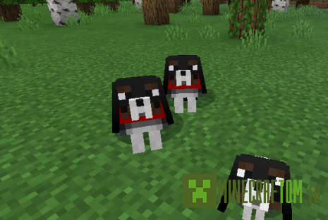 Мод Doggos Galore (Изобилие собак)