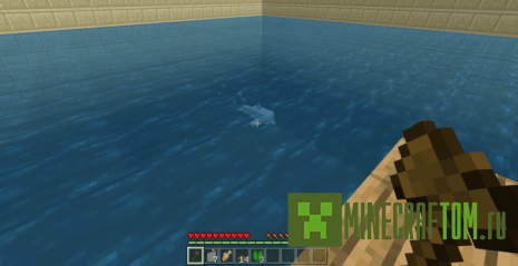 Карта CT The RAFT (Плот) Карта CT The RAFT (Плот)