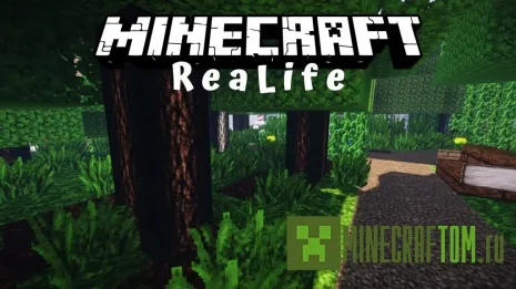 Текстуры ReaLife (Реальная жизнь) Текстуры ReaLife (Реальная жизнь)