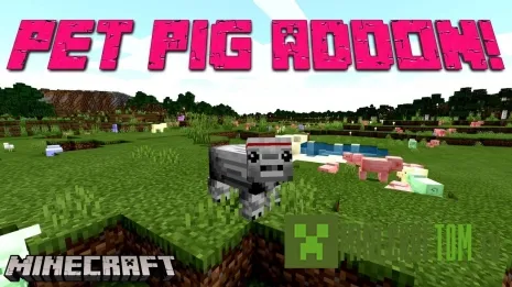 Мод Pet Pigs (Питомец свинья) Мод Pet Pigs (Питомец свинья)