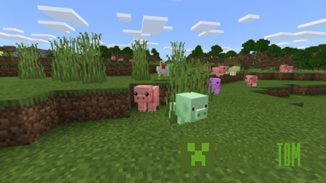 Мод Pet Pigs (Питомец свинья) Мод Pet Pigs (Питомец свинья)
