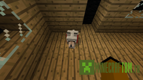 Карта Find Your Doggo (Найди своего Догго) Карта Find Your Doggo (Найди своего Догго)