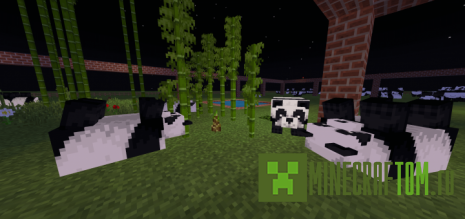 Карта PandaResort (Курорт Панда) Карта PandaResort (Курорт Панда)