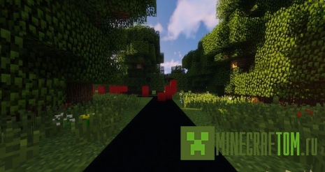 Карта Deltarune (Дельта руна) Карта Deltarune (Дельта руна)