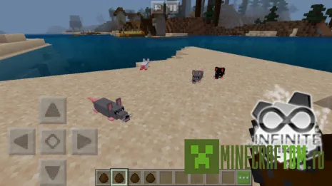 Мод Rat (Крыса) Мод Rat (Крыса)