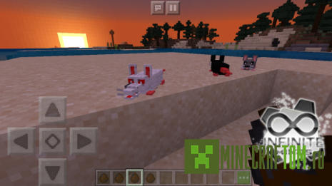 Мод Rat (Крыса) Мод Rat (Крыса)