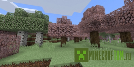 Мод Seasons (Сезоны) Мод Seasons (Сезоны)