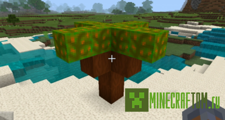 Мод TropicalBeach (Тропический пляж) Мод TropicalBeach (Тропический пляж)