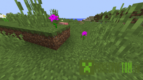 Мод Dawnstar (Рассветная звезда) Мод Dawnstar (Рассветная звезда)