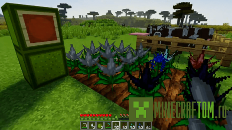 Мод Cucumber (Огурец) Мод Cucumber (Огурец)