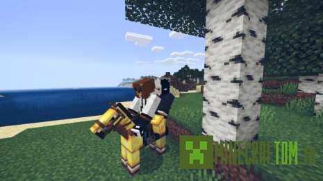 Мод Fast-O Miner (Быстрый шахтер) Мод Fast-O Miner (Быстрый шахтер)