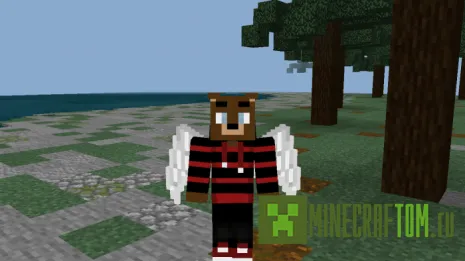 Мод Wearables (Предмет одежды) Мод Wearables (Предмет одежды)