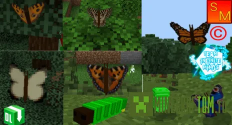 Мод Butterfly (Бабочка) Мод Butterfly (Бабочка)