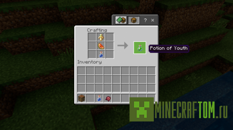 Мод Potions of Youth (Зелье молодости)