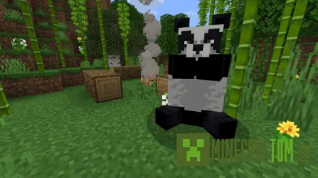 Карта Panda Land (Земля панды) Карта Panda Land (Земля панды)