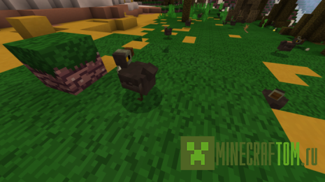 Карта The First Race (Первые гонки) Карта The First Race (Первые гонки)