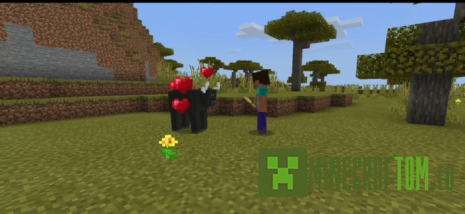 Мод Bull (Бык) Мод Bull (Бык)