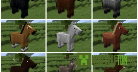 Текстуры Old Horses (Старые лошади) Текстуры Old Horses (Старые лошади)