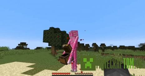 Мод Enderman Evolution (Эволюция Эндермена) Мод Enderman Evolution (Эволюция Эндермена)