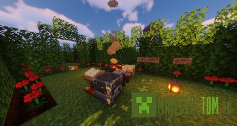 Карта Maze Runner (Бегущий в лабиринте)