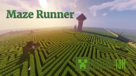 Карта Maze Runner (Бегущий в лабиринте) Карта Maze Runner (Бегущий в лабиринте)