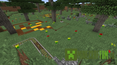 Карта The Miness Карта The Miness