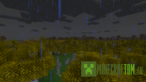 Текстуры Autumn Forests (Осенний лес)