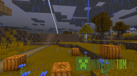 Текстуры Autumn Forests (Осенний лес)