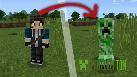 Мод Morph (Превращаться) Мод Morph (Превращаться)