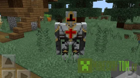 Мод Village Protector (Защитник деревни)