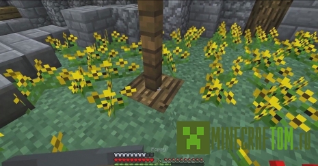 Текстуры 4×4 (4 на 4) Текстуры 4×4 (4 на 4)