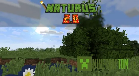 Текстуры Naturus (Природа) Текстуры Naturus (Природа)