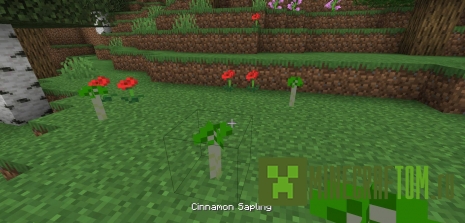 Мод NaxsOrganicMenu (Органическое меню)