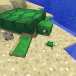 Черепахи в Майнкрафт 1.13