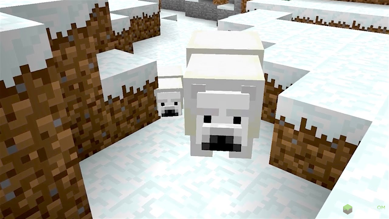 Белые медведи.