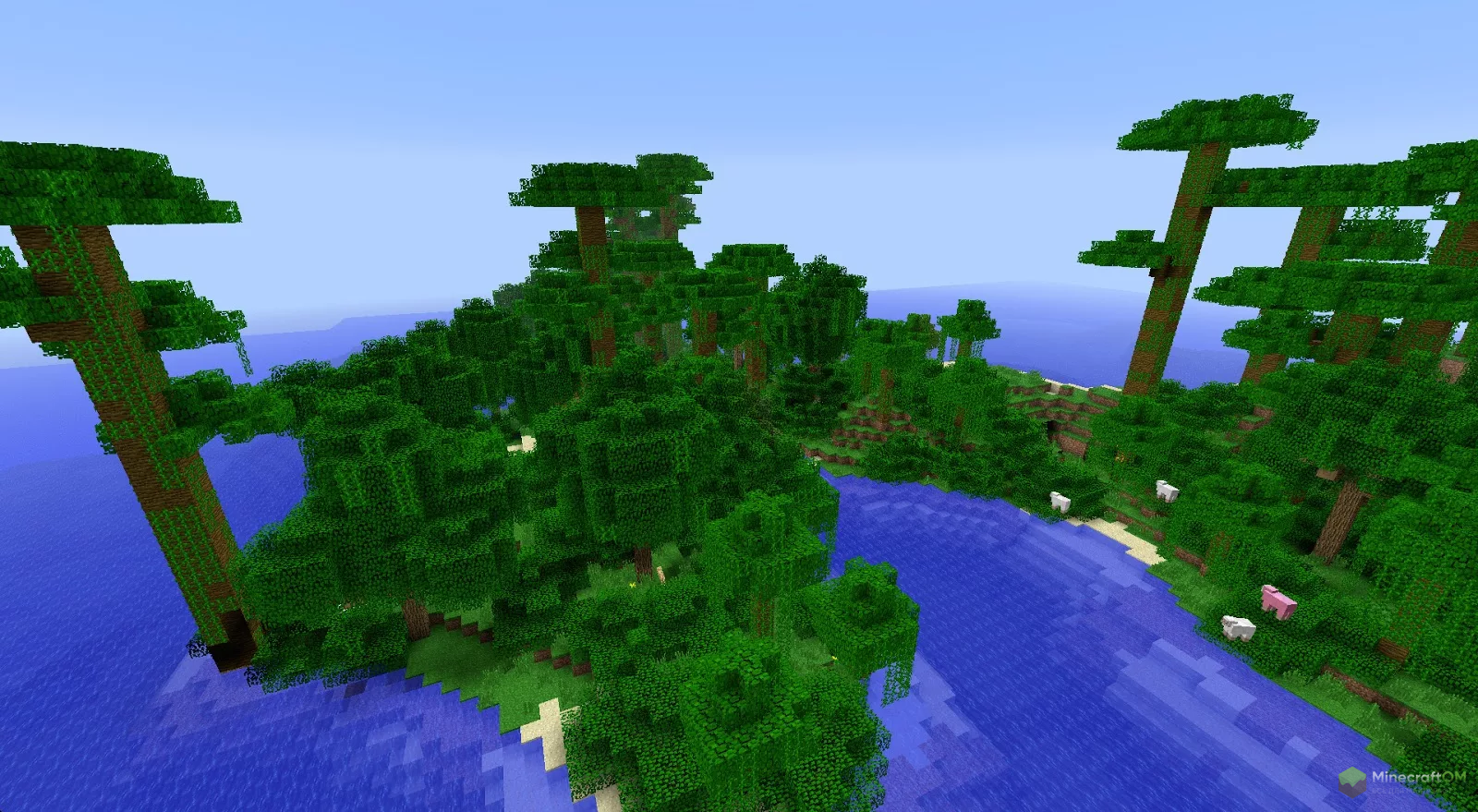 Новый биом - джунгли