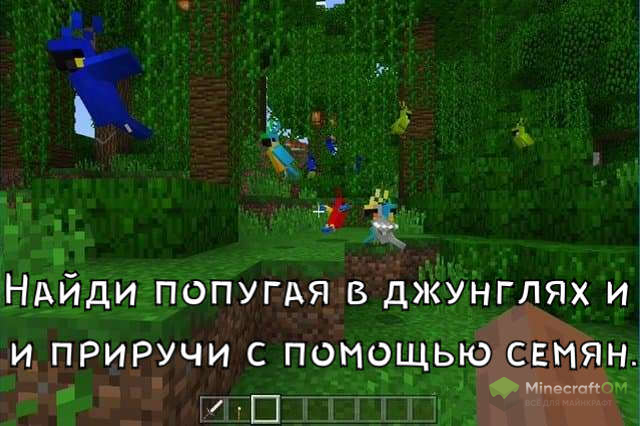 Пернатые друзья