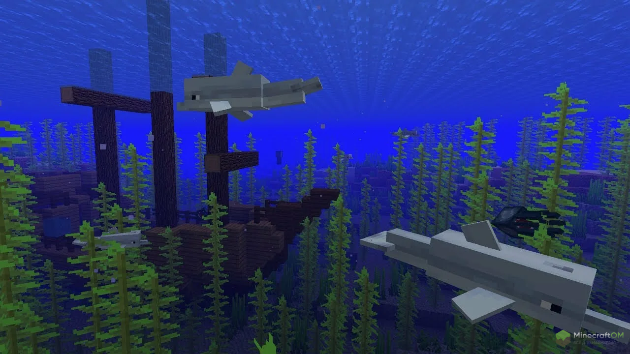 Дельфины и затонувший корабль