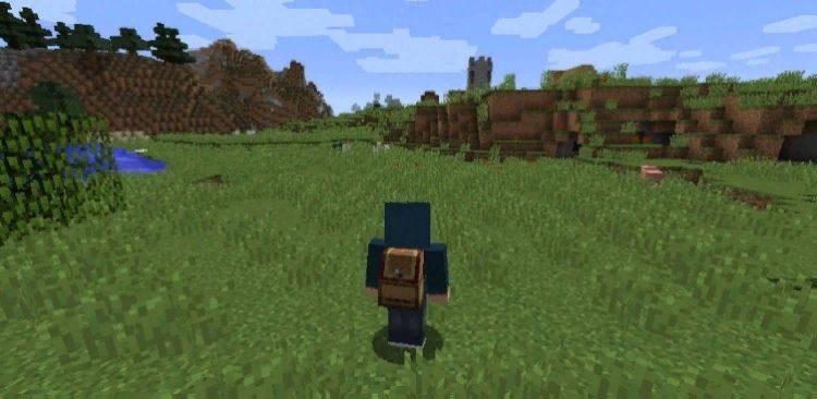Вид рюкзака из мода Improved Backpacks
