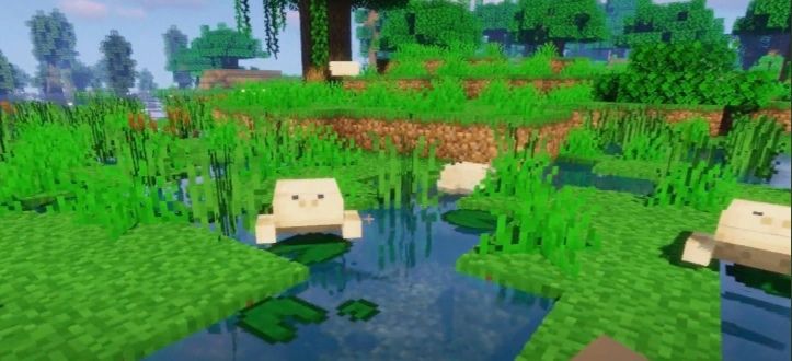 Лягушка из мода Quark