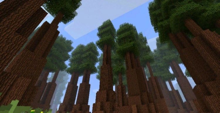 биом из мода Biomes O’ Plenty