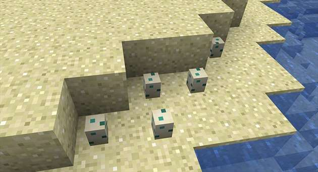 Черепашьи яйца