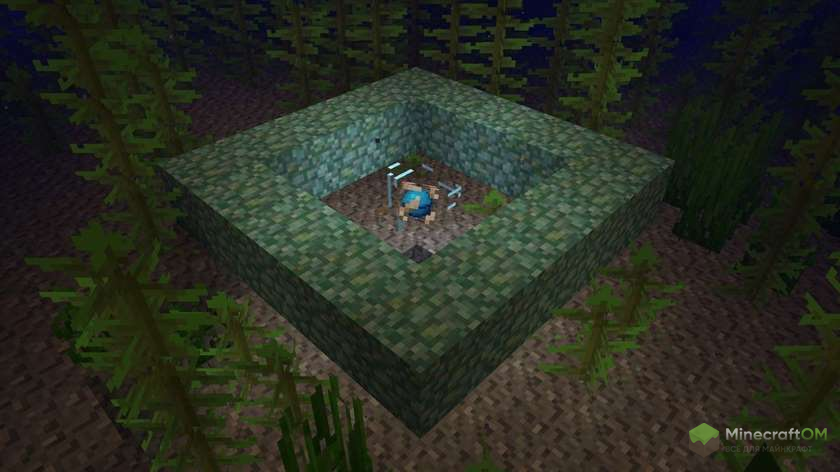 Морской проводник