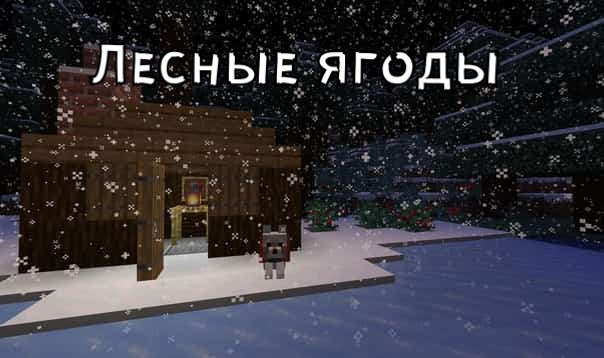 Лесные ягоды в тайге